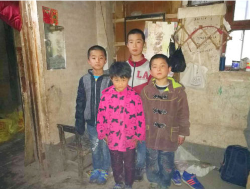 诊断试剂运输：爱心传递你我，腾翼一路同行