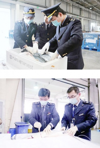 细胞运输：注意事项