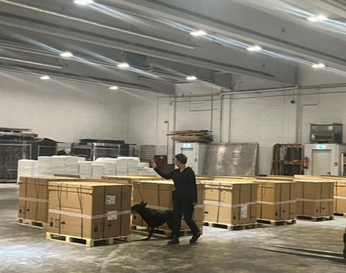 诊断试剂：精准医疗的关键工具