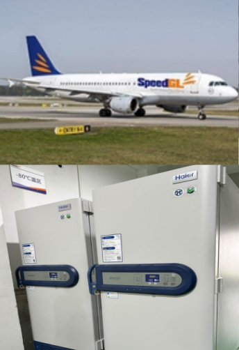 生命科学冷链运输