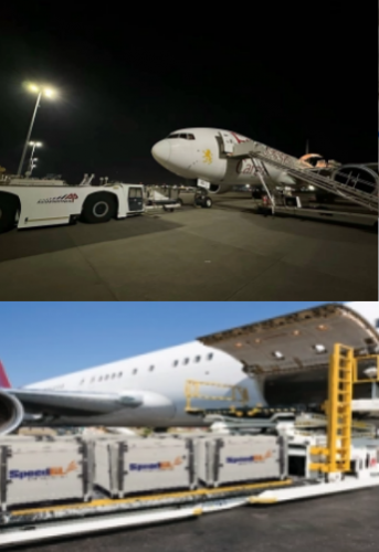 国际冷链运输