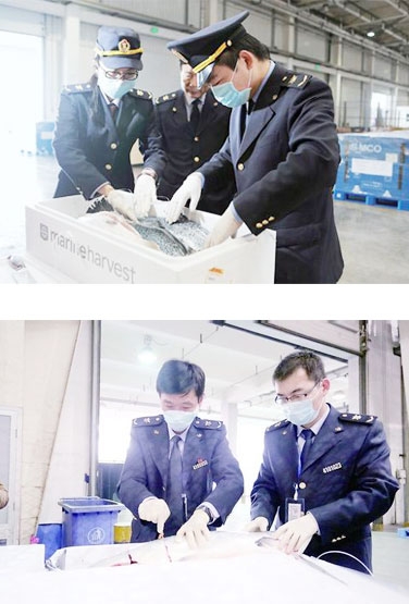 Inspection
