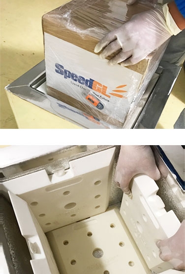 Transport biological samples